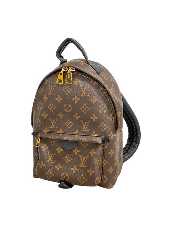 Louis Vuitton Backpack Monogram Palm Spring PM Brown main image 6